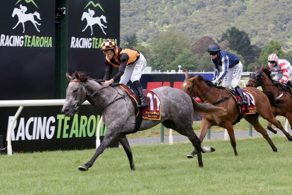 Gibbs hoping to reap rewards with Sweet But Psycho