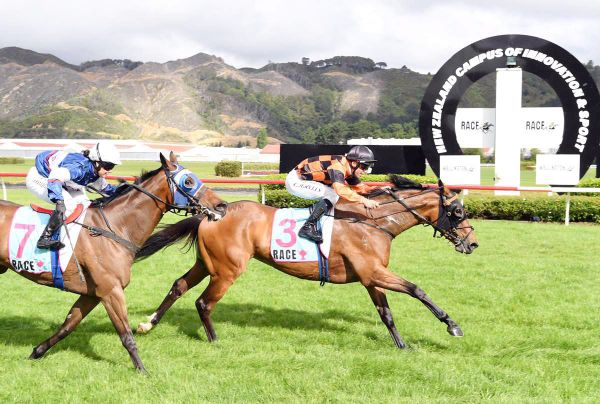 Town Cryer Aims for Redemption in Trentham Mile