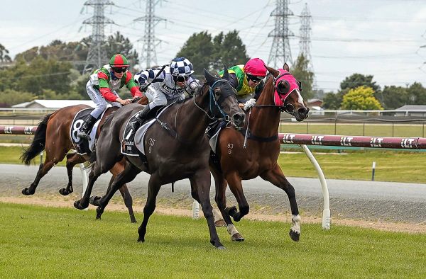 Willis digs deep for Ascot Park success