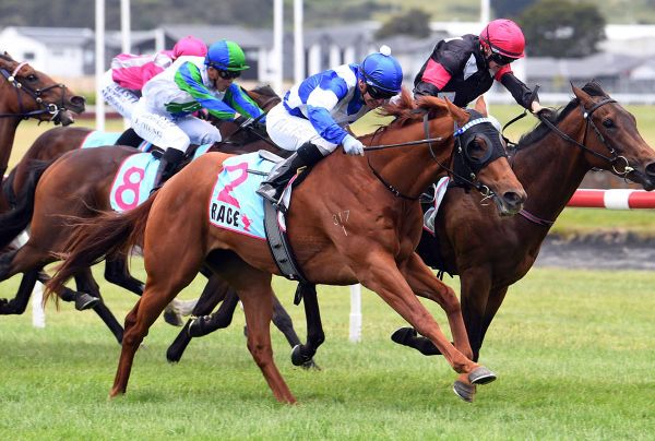 Currie opens New Zealand account with Wingman