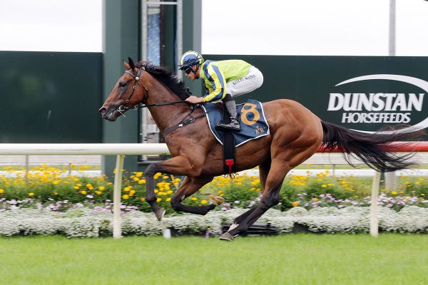 Yaldi back on home soil ahead of 3YO features