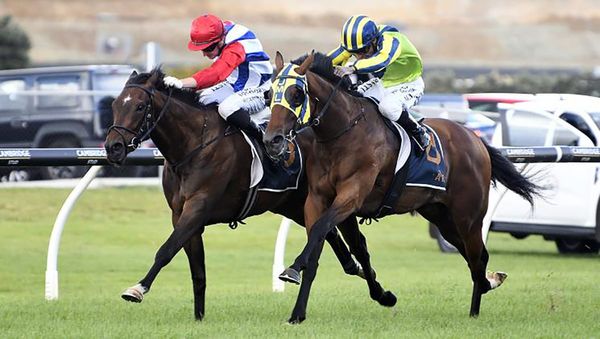 Yaldi Triumphs in Thrilling Auckland Guineas