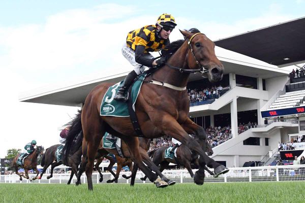 About Time making all right moves ahead of Cup