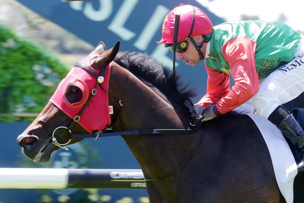 Flying Acquarello set for KM target