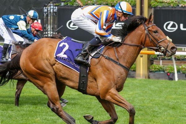 Bellatrix Star's freak injury