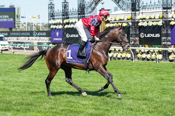 Rising NZ Prizemoney Attracts Global Competitors