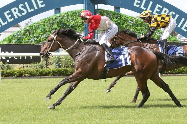 Marsh's Team Primed for Karaka Millions Glory