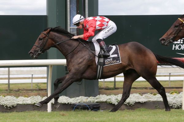 Dealt With dances to Millions with drama-filled victory