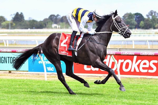 Busuttin emphasizes need for cover