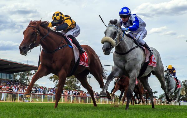 Holymanz defends Coastal Classic crown