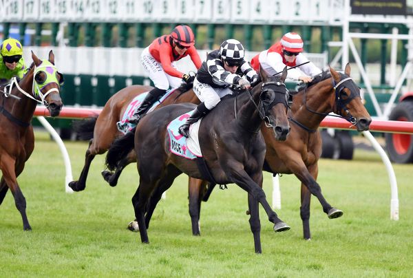 Sharrock hoping to continue hot holiday run