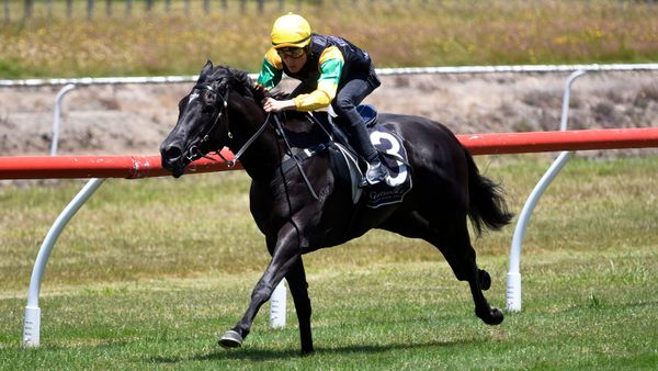 Forsman Delighted with Tauranga Trial Performance