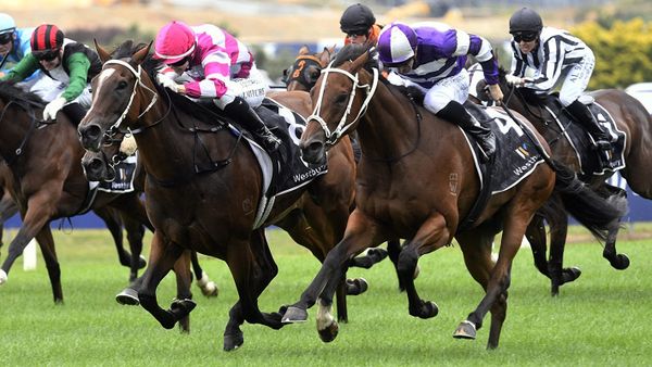 Australian raider wins Westbury thriller