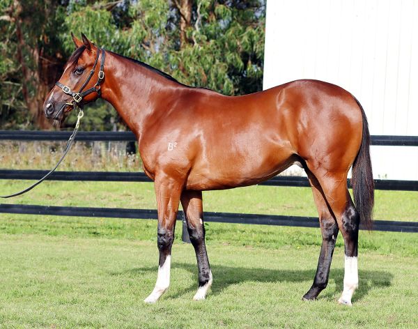 Satono Aladdin top of the pops again