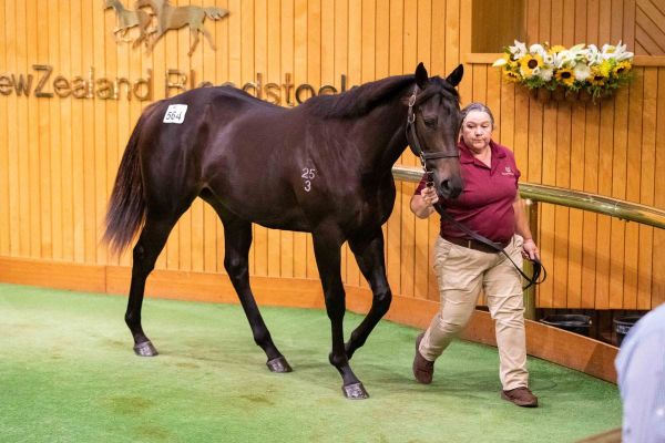 Million-dollar double for Donna Marie