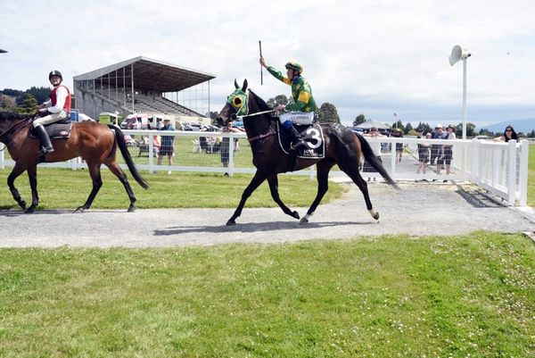 Mayor Of Norwood claims Waikouaiti Cup