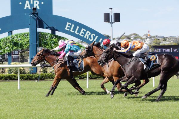 Bonningtons excited about Champions Day prospects