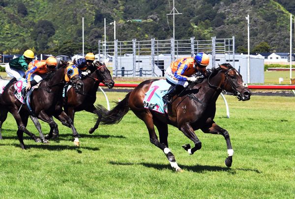 Further stakes success for long-time associates