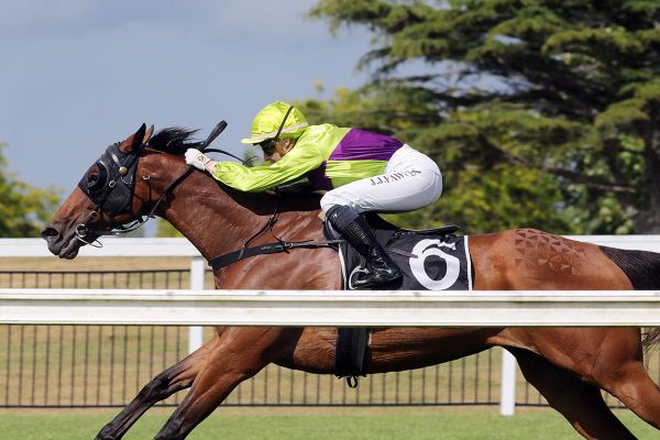 Myla Aims for Hat-Trick at Tauranga