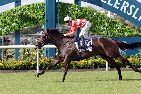 Orchestral Set for Another Auckland Summer