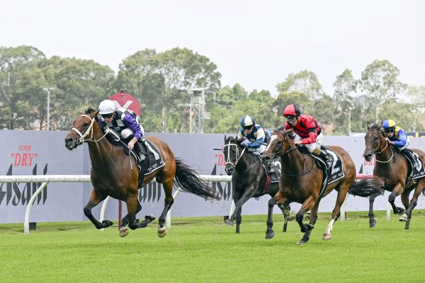 Osipenko returns to winners list in January Cup