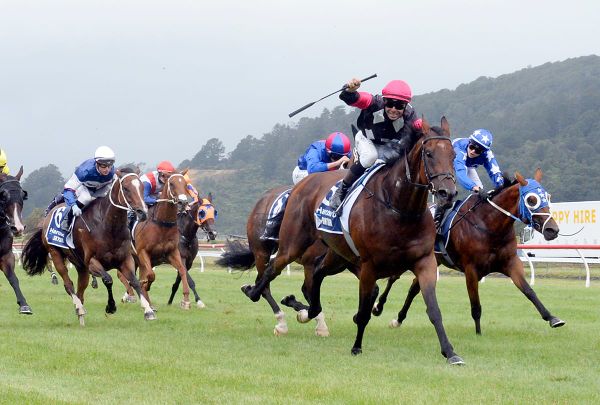 Puntura Aims to Defend Thorndon Mile Title