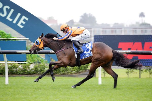 Qali Al Farrasha gets nod for Te Akau in feature mile