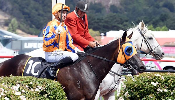 Quintessa Set to Continue Te Akau’s Winning Run?