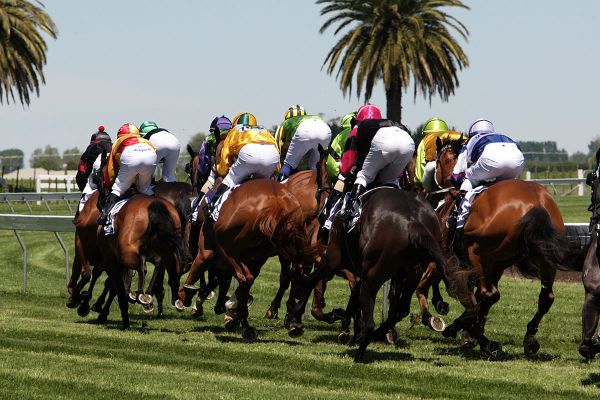 New Zealand Thoroughbred Racing and 1/ST Unveil Partnership to Elevate Global Thoroughbred Racing