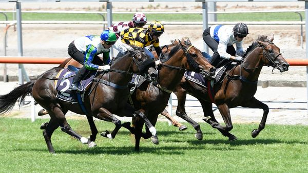 Savaglee Launches Summer at Trentham