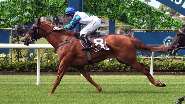 Waikato Thoroughbred Racing secure Sethito for the NZB Kiwi