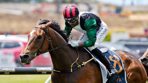 Byerley Park barn holds strong hand for Ellerslie feature