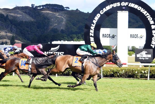 Huge effort from Titicaca in Remutaka Classic