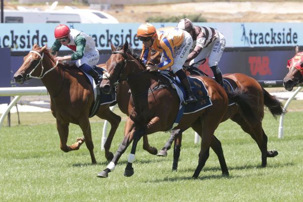 Brave colt Karaka Millions-bound