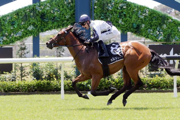 Bergerson Aims for Karaka Millions Redemption