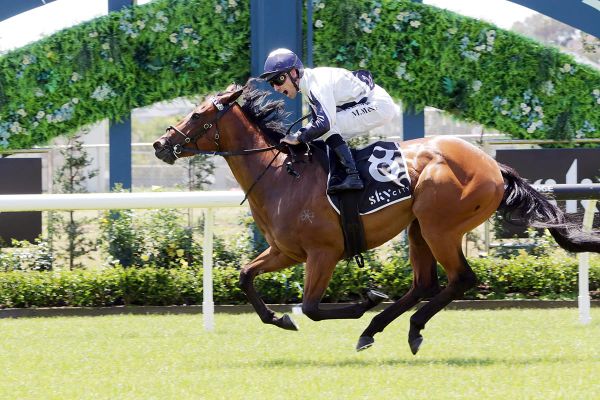 Bergerson Begins New Year on a Sweet Note