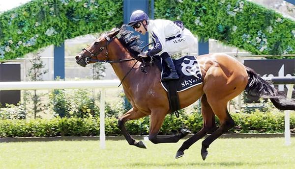 Sweet Reward for Rutten's Hard Work