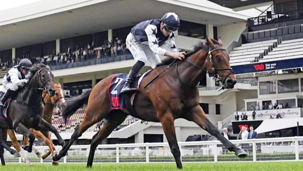 Wynyard Seeks Karaka Million Glory