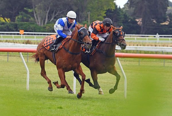 Bergerson duo on song for weekend assignments