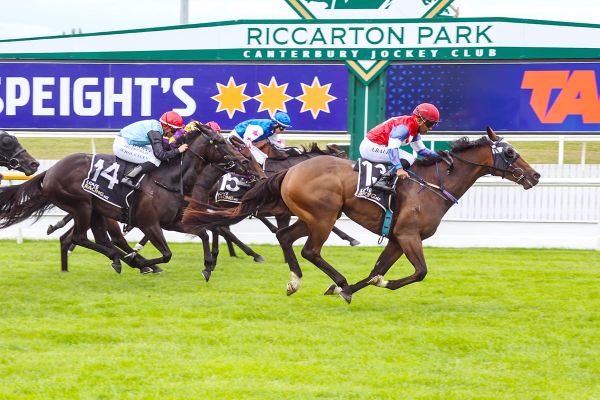 Tumuch takes Timaru Stakes