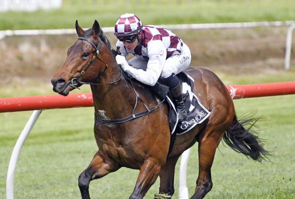 Foote Pair Enjoy Luck at Barrier Draw