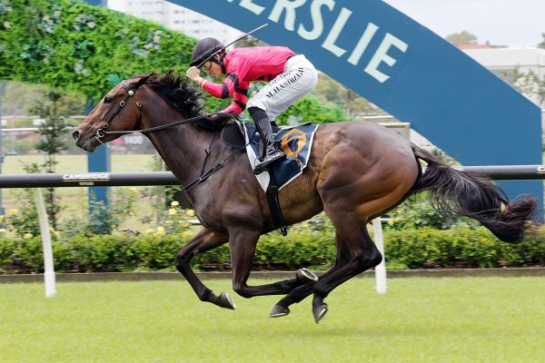 Willydoit Strikes Again at Ellerslie