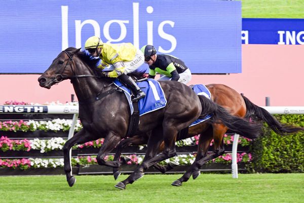 With Your Blessing bounces back at Randwick