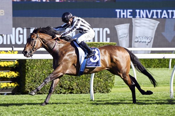 Belclare set sights on Ellerslie mile crown