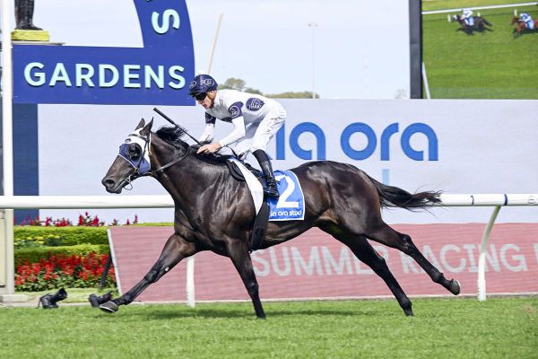 Bunker Hut back in winning groove