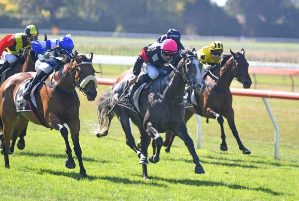 Catherinenz makes powerful resumption at Otaki