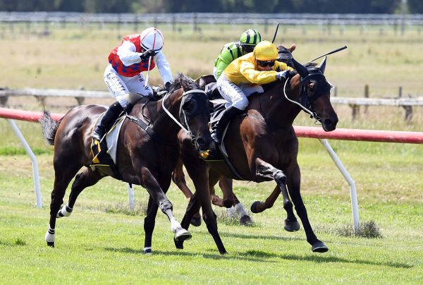 Danjuro beginning to find his stride