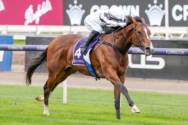 Fancify seeks further Flemington success