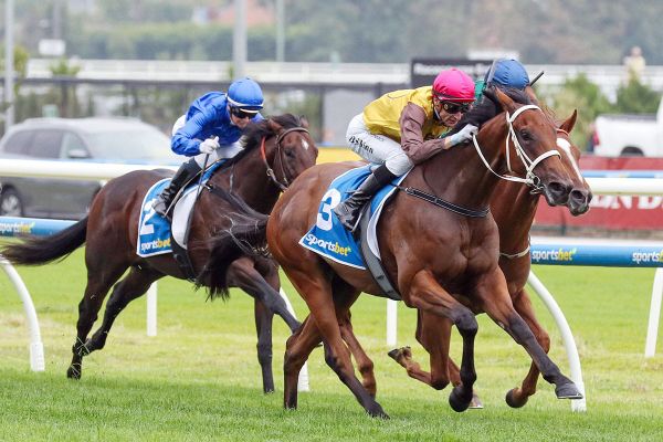 Field Of Play off to Hong Kong