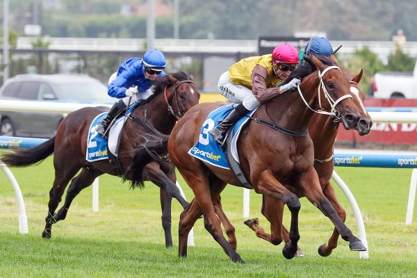 Draw ideal for Diamond favourite